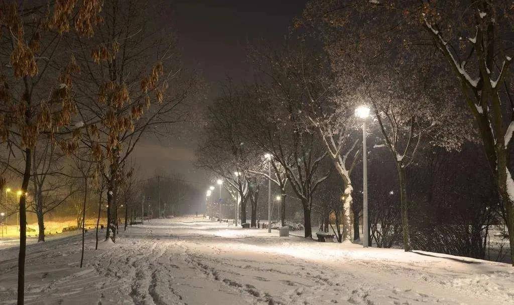  布雷斯特雪夜鏖战险平对手，场地条件引发争议  